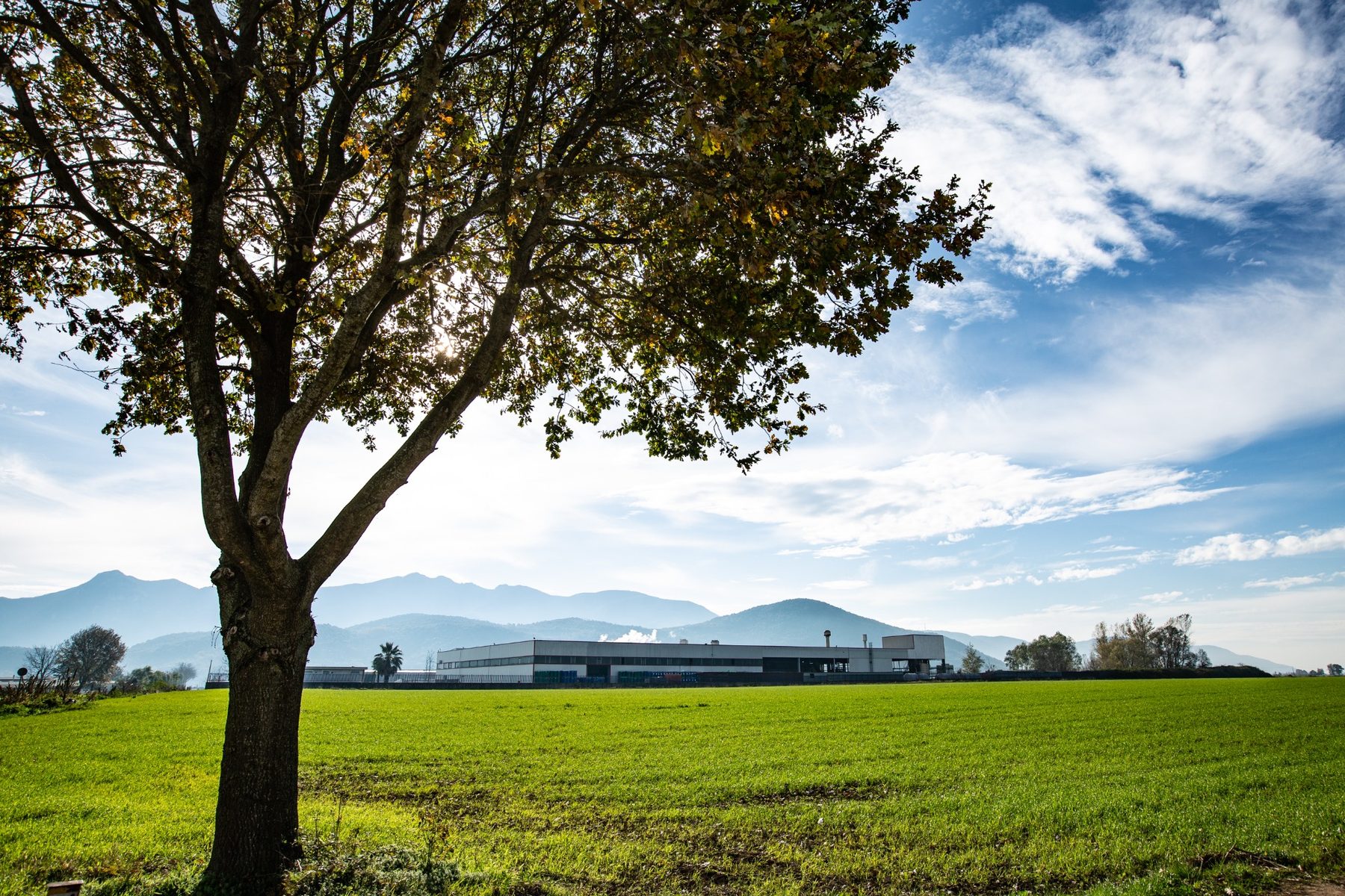 Terranostra: azienda, campi e impianti produttivi
