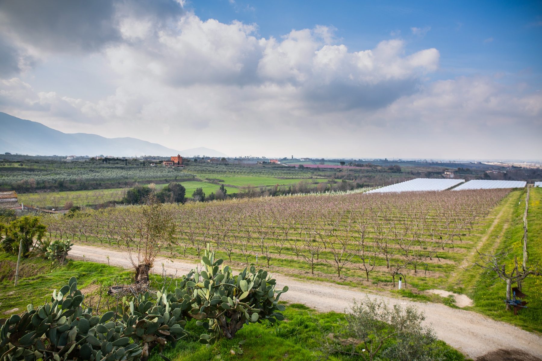 Terranostra: azienda, campi e impianti produttivi