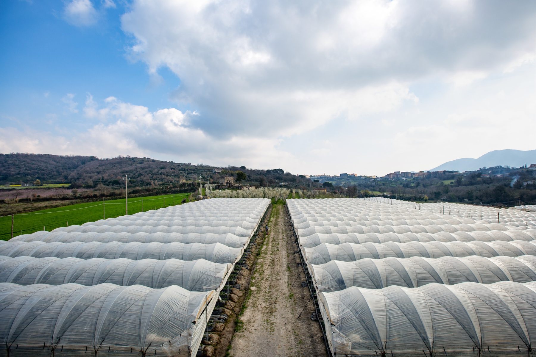 Terranostra: azienda, campi e impianti produttivi
