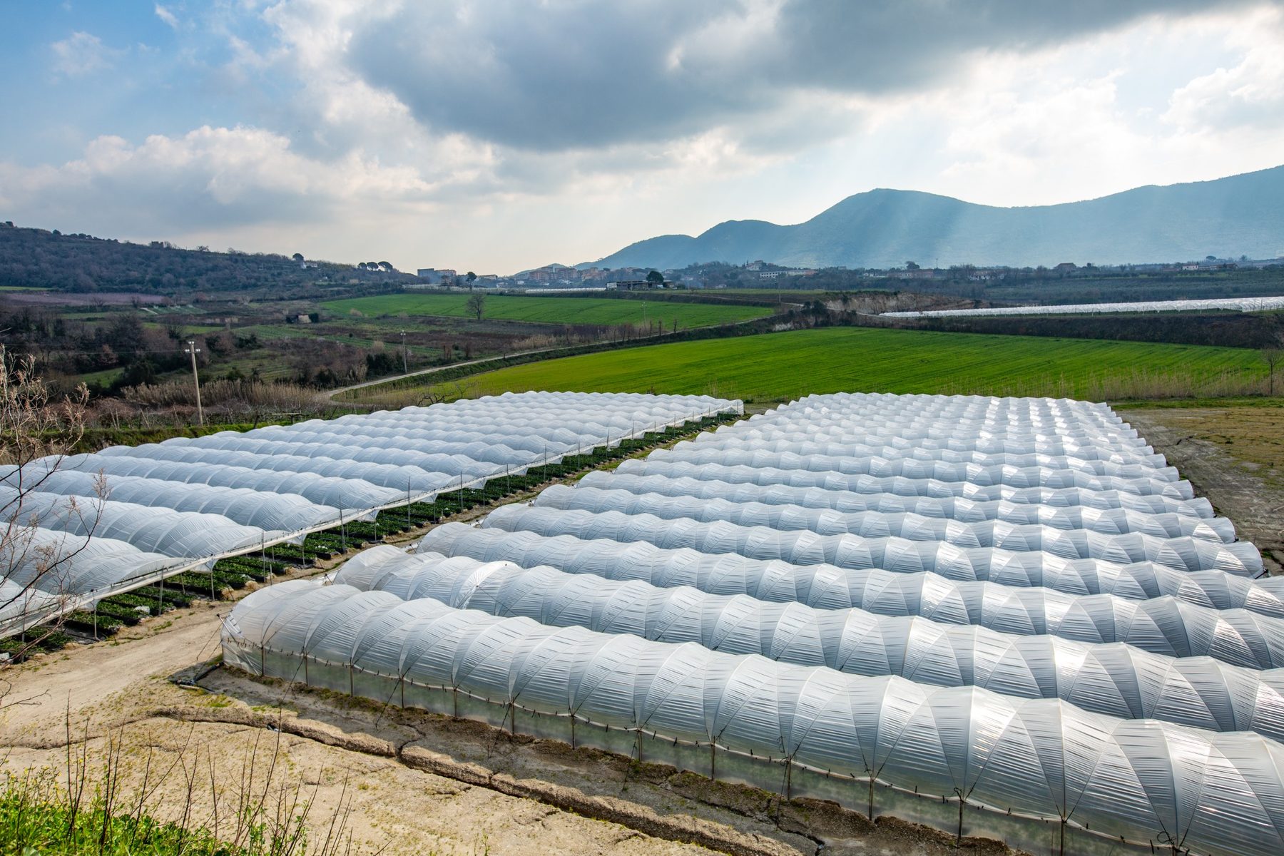 Terranostra: azienda, campi e impianti produttivi