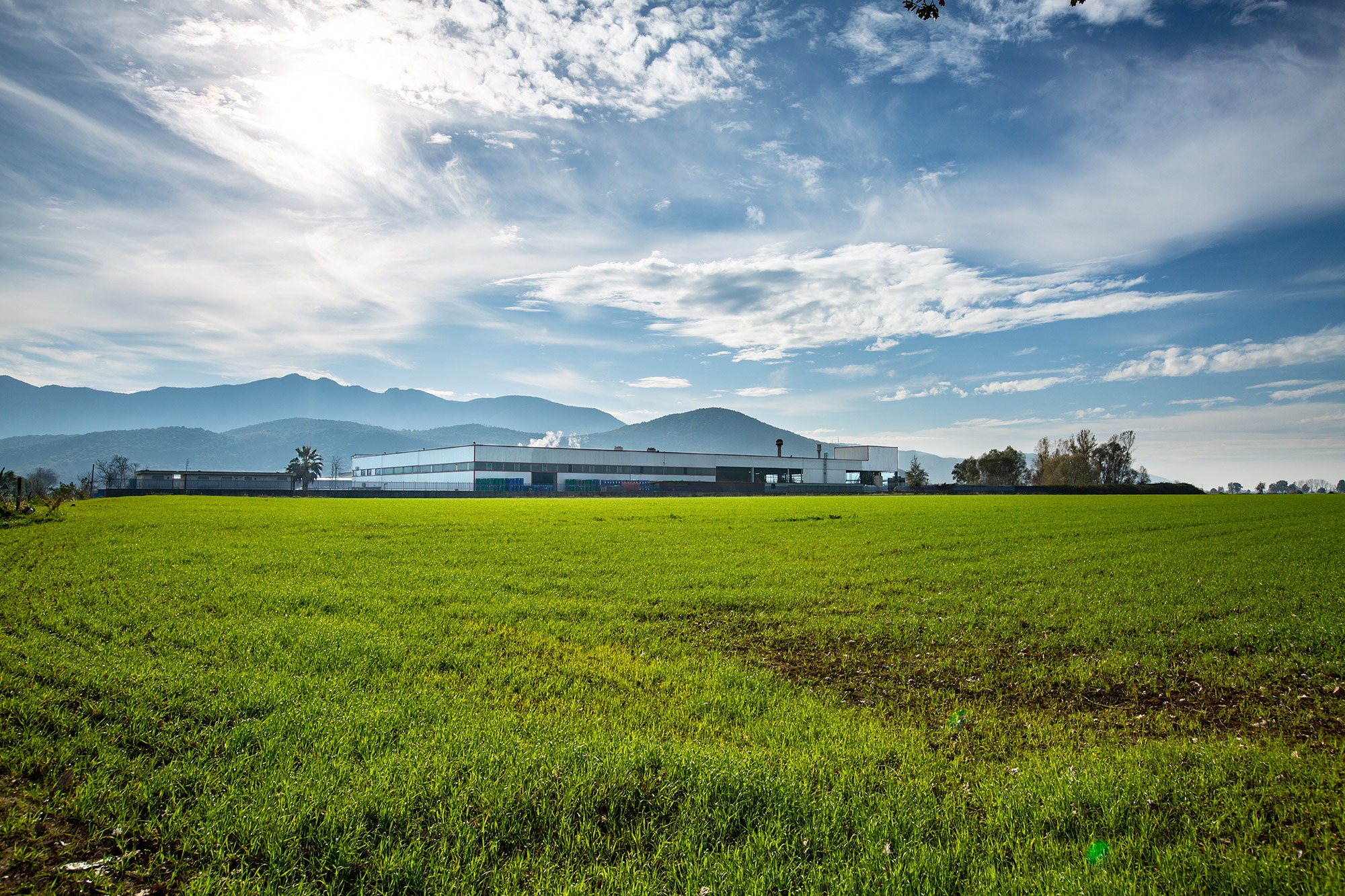 Stabilimento produttivo Terranostra immerso nella campagna